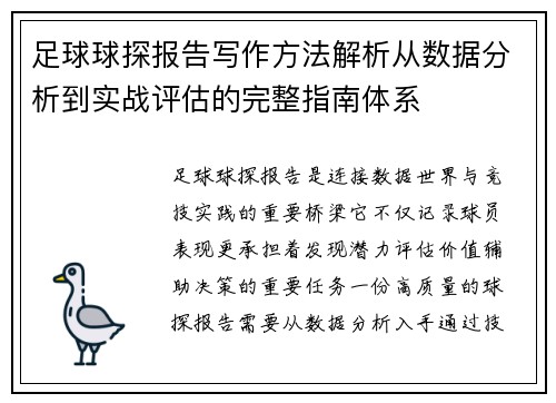 足球球探报告写作方法解析从数据分析到实战评估的完整指南体系 足球球探报告写作方法解析从数据分析到实战评估的完整指南体系